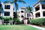Building, lawn, palm trees, bush, walkway, CPHV01P15_18