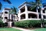 Building, lawn, palm trees, bush, walkway, CPHV01P15_19
