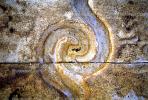 golden spiral, CPHV02P03_13