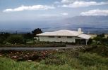 house, home, Building, domestic, domicile, residency, housing, Maui