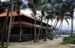 palm trees, building, Kona Inn, CPHV02P12_10
