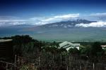 Haleakala Mountain, Maui, CPHV02P15_04