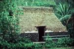 Grass Thatched House, Hut, Jungle, CPHV03P02_12