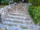 Stairs, Steps, Ivy, CSBD01_083
