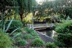 Gardens, Footbridge, Path, Shrub, Sunnyvale, Silicon Valley, CSBV02P01_16.1739