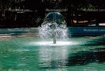 Water Fountain, aquatics, CSBV05P10_06.1740