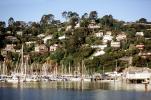 Sausalito Harbor, Docks, Hill, boats, homes, houses, waterfront, buildings