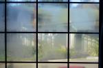 window, glass, pane, frame, Cambria, CSCD01_005