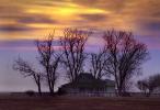 Allensworth House, home, building, bare trees, sunset, Colonel Allensworth State Historic Park, Tulare County