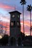Clock Tower, sunset, palm trees