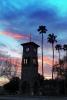 Clock Tower, sunset, palm trees, CSCD02_125
