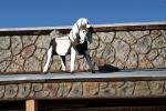Horse Figure, Building, Inyokern, Indian Wells Valley, Kern County