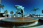Palm tree, pier, pacific ocean, palm trees, Stearns Wharf, Dolphin Water Fountain, 9 February 1988, CSCV01P08_17