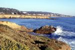 Shoreline, Rocks, Shore, Coast, Pacific Ocean, Tide Pool, Cambria, CSCV03P01_01