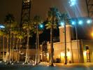 Palm Trees in the night, Pacbell Park, lights, CSFD04_300