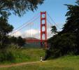 Golden Gate Bridge, CSFD05_187