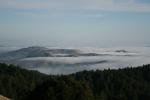 Fog, skyline, Marin County