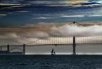 Foggy Magic of the bridge