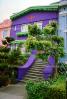 Purple Home, steps, stairs
