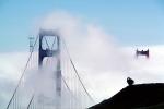 Golden Gate Bridge and Sutro Tower, CSFV02P07_13