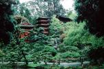Pagoda, Hakone Japanese Tea Garden, CSFV02P11_18