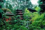Pagoda, Hakone Japanese Tea Garden, CSFV02P11_19
