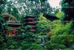 Pagoda, Japanese Tea Garden, October 25 1982, CSFV02P12_02