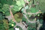 Japanese Tea Garden, Paths, Ponds, Trees, CSFV03P01_07B