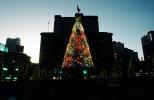Union Square, Tree, downtown, downtown-SF