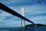 San Francisco Oakland Bay Bridge, CSFV09P03_05