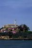Alcatraz Island, CSFV10P13_13