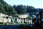 Portola Drive, Homes, Houses, Road, Cars, Trees, CSFV12P04_15