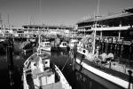 Boats, Docks, Buildings, Harbor, CSFV15P01_02BW