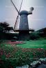 Windmill, CSFV16P04_12