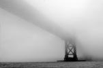 Bay Bridge in the Fog, CSFV16P11_19BW