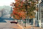 Leaves, fall colors, Autumn, Trees, Vegetation, Flora, Plants, Exterior, Outdoors, Outside, Curb, Sidewalk, Parked Car, CSFV17P04_07