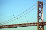 San Francisco Oakland Bay Bridge, CSFV18P03_17