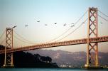 Pelicans flying, San Francisco Oakland Bay Bridge