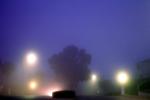 Monterey Avenue, Fog, Dusk
