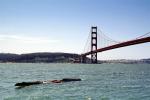 Floating Log, Dangerous Driftwood, Golden Gate Bridge, obstruction