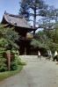 Japanese Tea Garden, 1950s, CSFV22P14_11