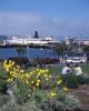 Hyde Street Pier, Car Ferry, flowers, , Aquatic Park, CSFV23P01_13