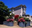 Axford House, 1190 Noe Street, Home, Steps, Garden, Flowers, Castro-District, CSFV24P12_08