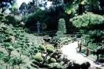 Hakone Japanese Tea Gardens, Path, May 1968, 1960s
