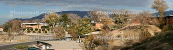 Trees and Homes, Albuquerque, Panorama, CSMD01_039