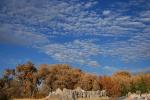 Clouds, Trees, along the Rio Grande River, Albuquerque, CSMD01_051