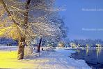 Lake, ducks, Twilight, Dusk, Dawn, snow, blizzard, sleet, storm, Cold, Ice, Frozen, Icy, Snowy, Winter, Wintry, tree, CSNV01P12_09B