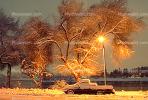 Lake, trees, pickup truck, Twilight, Dusk, Dawn, snow, blizzard, sleet, storm, Cold, Ice, Frozen, Icy, Snowy, Winter, Wintry, CSNV01P12_10B.1744