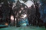 Tree lined street, snow, night, nighttime, Trees Covered in Snow, snow storm, winter, cars, street