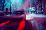 Twilight, Dusk, Trees Covered in Snow, snow storm, Nighttime, winter, car